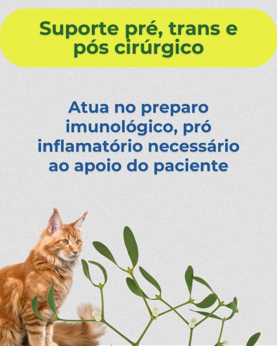 Curso Online De Prescri O De Terapia Viscum Album Na Veterin Ria